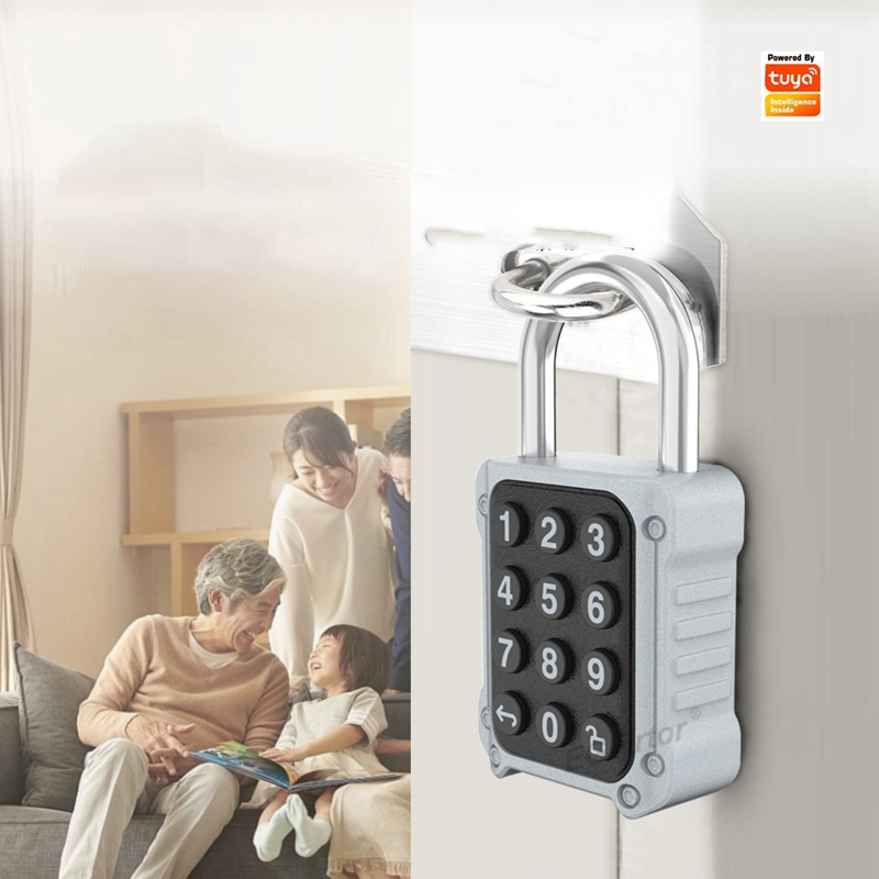 Door Lock Smart Keypad - EGFirtor Tuya APP 電子スマート南京錠パスワードドアロック、セキュリティ安全バッグボックス引き出し用の APP リモコン付き