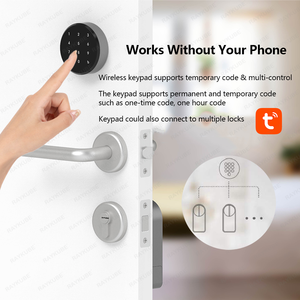RAYKUBE A1 Pro Tuya BEL スマートドア - Door Lock Smart Keypad のレビューと価格