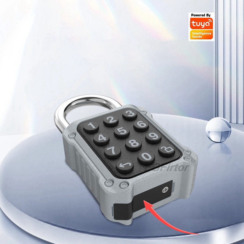 EGFirtor Tuya APP 電子スマート南京錠パスワ - Door Lock Smart Keypad のレビューと価格